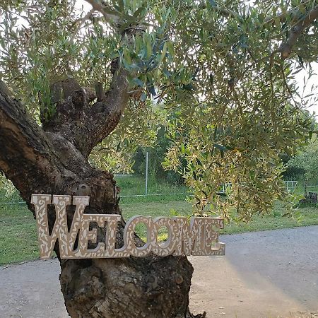 ネア・ミカニオーナ The Secret Olive Houseヴィラ エクステリア 写真