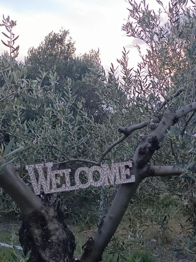 ネア・ミカニオーナ The Secret Olive Houseヴィラ エクステリア 写真