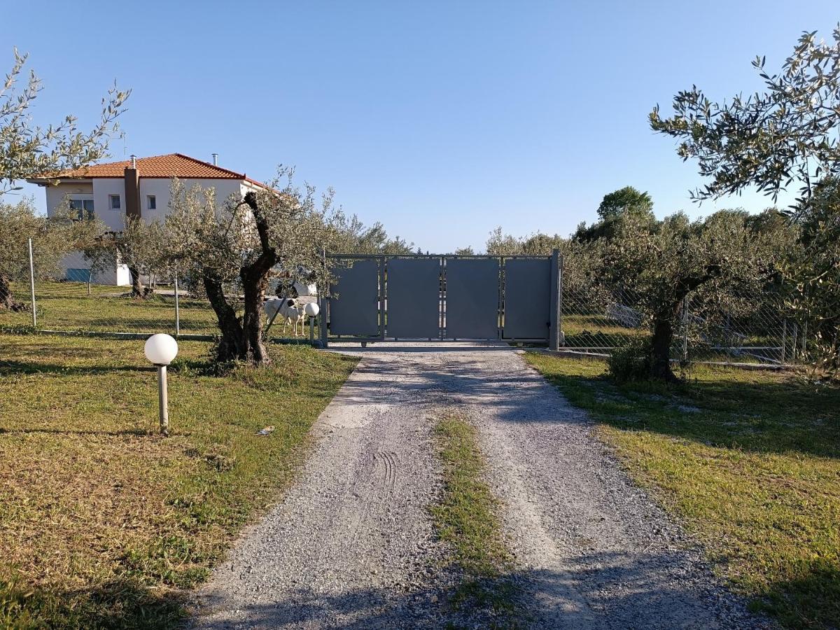 ネア・ミカニオーナ The Secret Olive Houseヴィラ エクステリア 写真